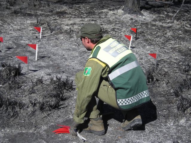 La Brigada de Delitos Ambientales supera los 700 casos investigados en sus 20 a&ntilde;os de trabajo en la Región de Murcia - 2, Foto 2