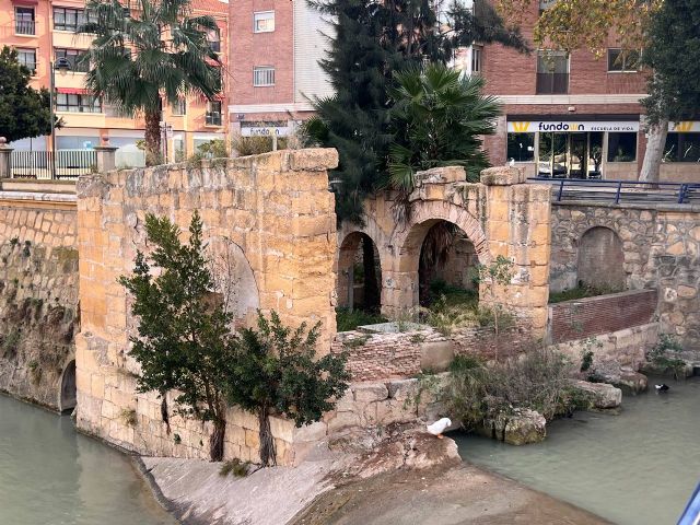 Huermur denuncia la degradación de los molinos históricos del río Segura del siglo XVIII - 3, Foto 3