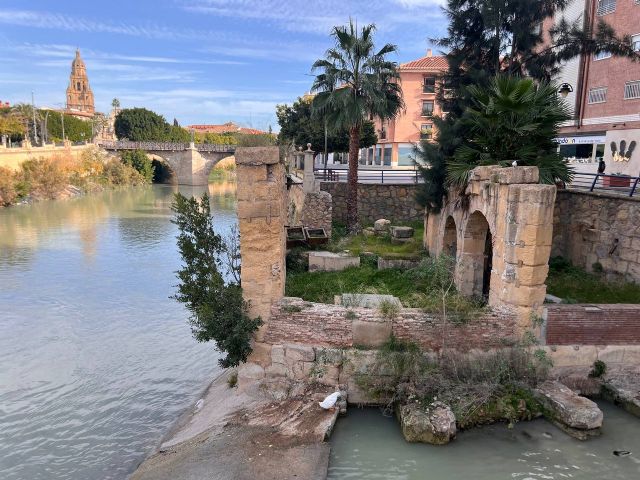 Huermur denuncia la degradación de los molinos históricos del río Segura del siglo XVIII - 5, Foto 5