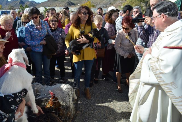 La pedanía de Tébar celebra su tradicional fiesta de San Antonio Abad 2018 - 3, Foto 3