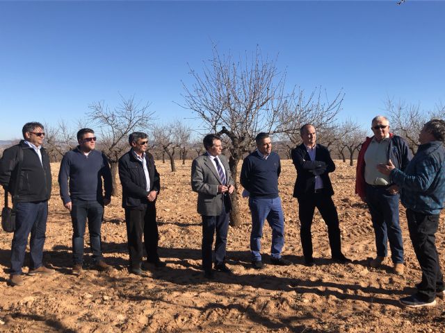 Jesús Cano: La oposición hace retroceder el modelo agrícola 40 años con sus enmiendas a la Ley del Mar Menor - 1, Foto 1