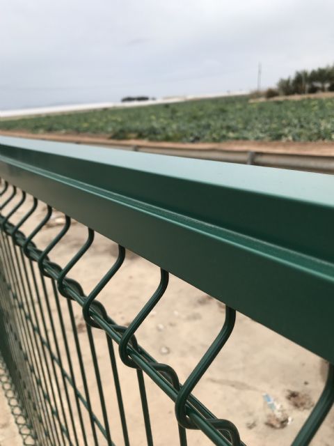 Actuaciones de mejora y acondicionamiento en Dolores de Pacheco - 2, Foto 2