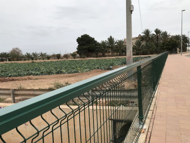 Actuaciones de mejora y acondicionamiento en Dolores de Pacheco - 3, Foto 3