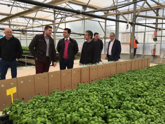 El alcalde José Miguel Luengo destaca el peso de los cultivos ecológicos en el municipio - 1, Foto 1