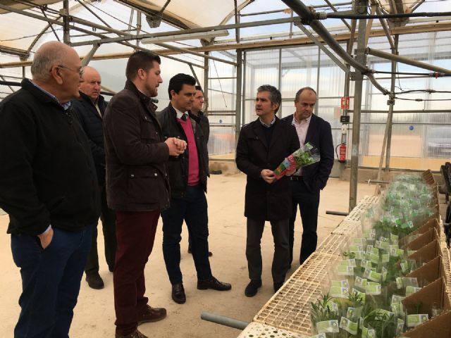 El alcalde José Miguel Luengo destaca el peso de los cultivos ecológicos en el municipio - 2, Foto 2