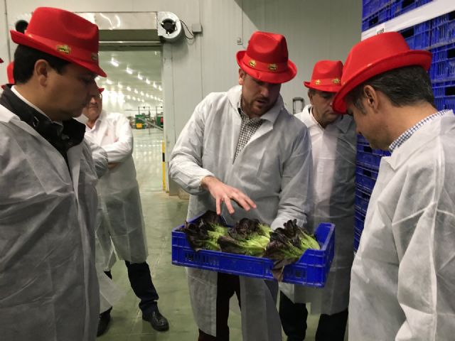 El alcalde José Miguel Luengo destaca el peso de los cultivos ecológicos en el municipio - 4, Foto 4