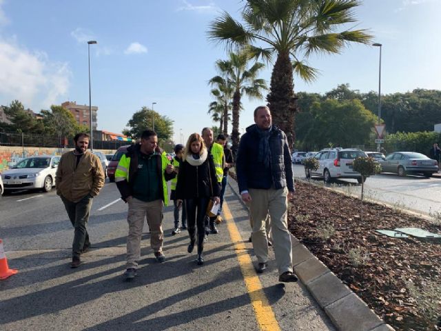 El Ayuntamiento mejora la mediana de la calle Pintor Almela Costa con más visibilidad para el tráfico rodado y nueva vegetación - 2, Foto 2