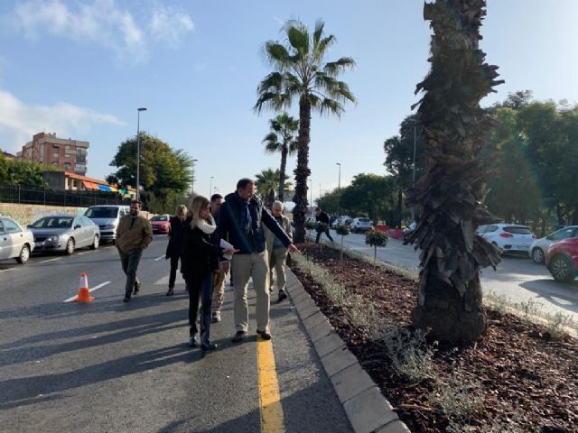 El Ayuntamiento mejora la mediana de la calle Pintor Almela Costa con más visibilidad para el tráfico rodado y nueva vegetación - 3, Foto 3