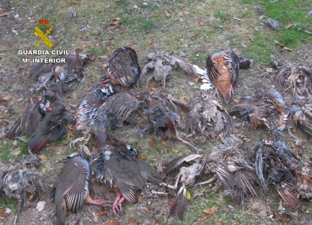 La Guardia Civil investiga a cinco personas por el uso de cebos envenenados en el Parque Regional Sierra de la Pila - 1, Foto 1