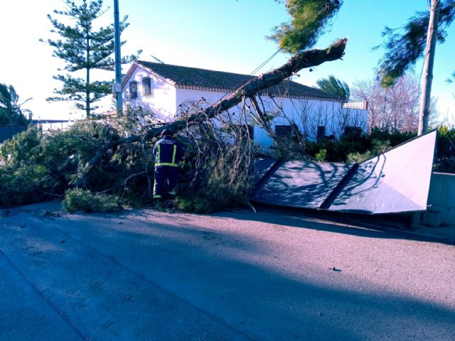 El Ayuntamiento de Lorca procede al cierre temporal de los parques y jardines municipales así como de Las Alamedas debido a la previsión de fuertes rachas de viento - 1, Foto 1