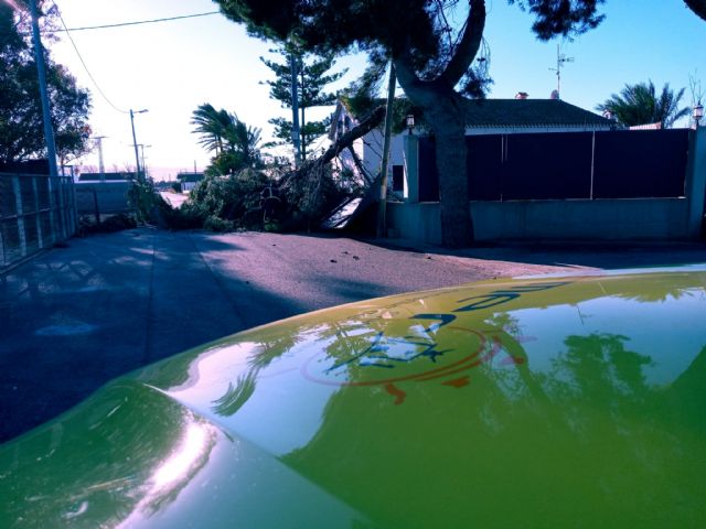 El Ayuntamiento de Lorca procede al cierre temporal de los parques y jardines municipales así como de Las Alamedas debido a la previsión de fuertes rachas de viento - 2, Foto 2