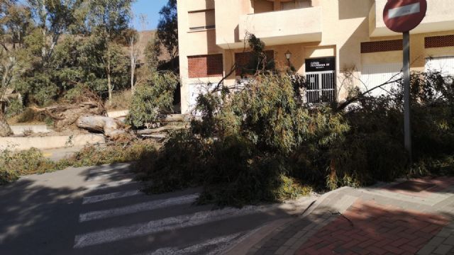 Alerta Naranja por vientos - 2, Foto 2