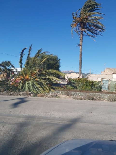 El CECOPAL activa el plan de emergencias municipal por el incendio de Carrascoy y las fuertes rachas de viento - 2, Foto 2