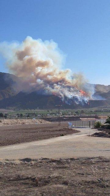 El CECOPAL activa el plan de emergencias municipal por el incendio de Carrascoy y las fuertes rachas de viento - 3, Foto 3