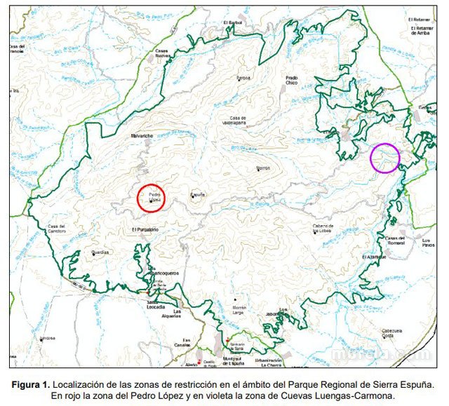   [Transit is temporarily restricted to the areas of Carmona-Cuevas Luengas and Solana de Pedro Lpez (Sierra Espua), Foto 2