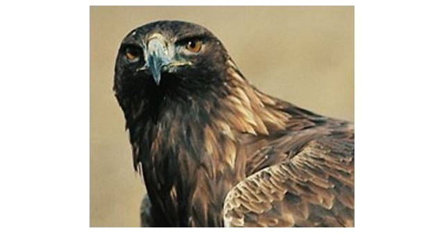 Se restringe el tránsito de manera temporal a las zonas de Carmona-Cuevas Luengas y Solana de Pedro López (Sierra Espuña), Foto 1