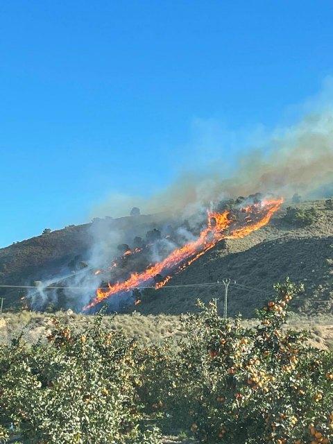 Continan los trabajos de extincin del incendio en la Sierra de Carrascoy, que sigue activo			, Foto 3