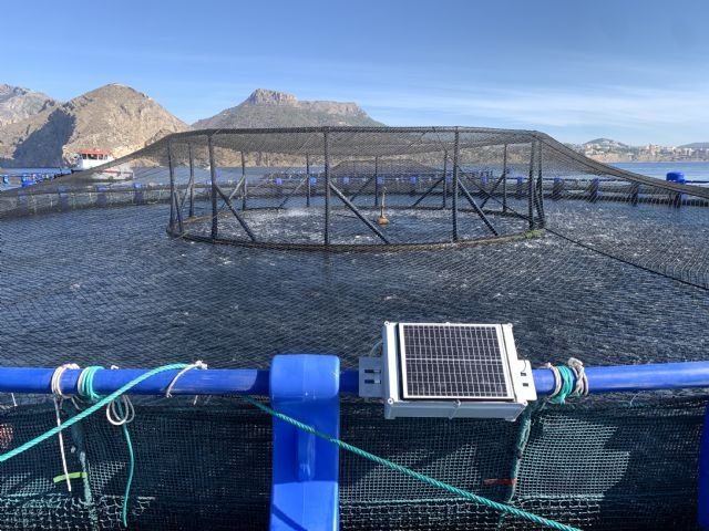 CTN implementa la tecnología para acuicultura SICA-SAVEFEED en el litoral mediterráneo - 1, Foto 1