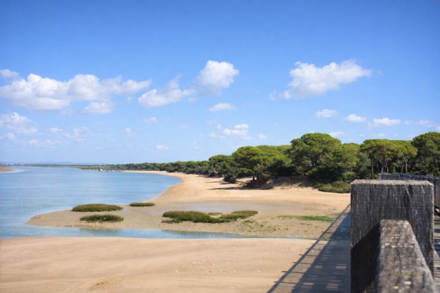 La Junta de Andalucía confía de nuevo a Orthem la gestión del parque metropolitano de Los Toru&ntilde;os - 3, Foto 3