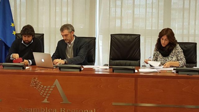 Urralburu: Hay lagunas importantes en la documentación recibida - 1, Foto 1