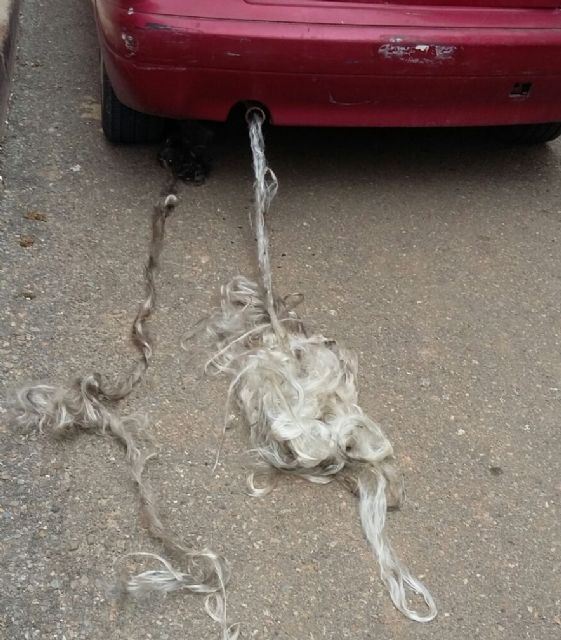 Ciudadanos Cartagena denuncia el sabotaje del coche particular de unos de sus concejales - 1, Foto 1