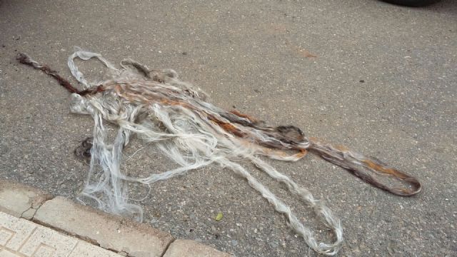 Ciudadanos Cartagena denuncia el sabotaje del coche particular de unos de sus concejales - 2, Foto 2