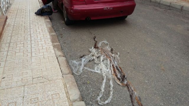 Ciudadanos Cartagena denuncia el sabotaje del coche particular de unos de sus concejales - 3, Foto 3