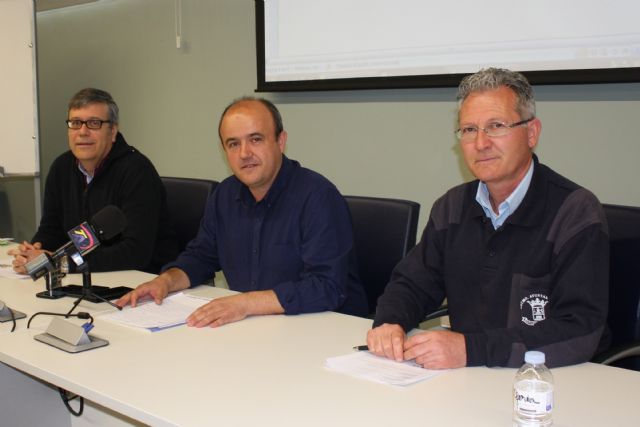 Informacin sobre la oruga procesionaria, Foto 1