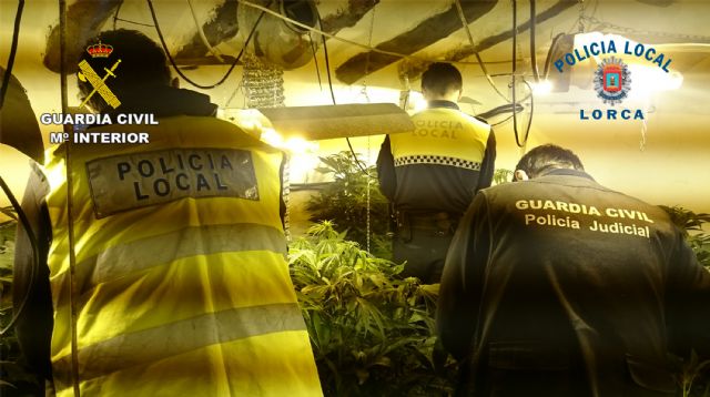 La Guardia Civil y la Policía Local desmantelan un nuevo punto de cultivo de marihuana en Lorca - 1, Foto 1