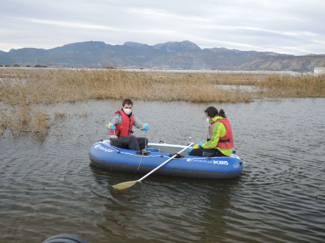 Muestreos en las aguas de las lagunas de las salinas, Foto 1