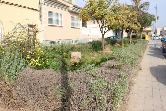 Cs recoge quejas de los vecinos de El Bohío por el estado de las zonas verdes, el asfalto, parques infantiles y el alumbrado - 5, Foto 5