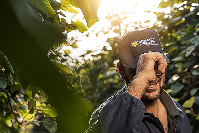 Kiwi Jingold® celebra su 20 aniversario con promociones en Mercamadrid - 1, Foto 1