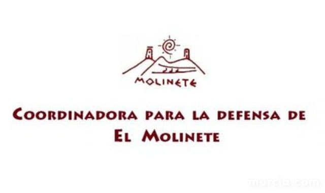 La Coordinadora del Molinete propone un pacto de todas las fuerzas políticas para desbloquear el futuro de la colina - 1, Foto 1
