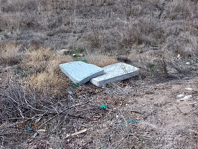 IU-Verdes Lorca da voz a las necesidades de los mayores de La Parroquia - 2, Foto 2