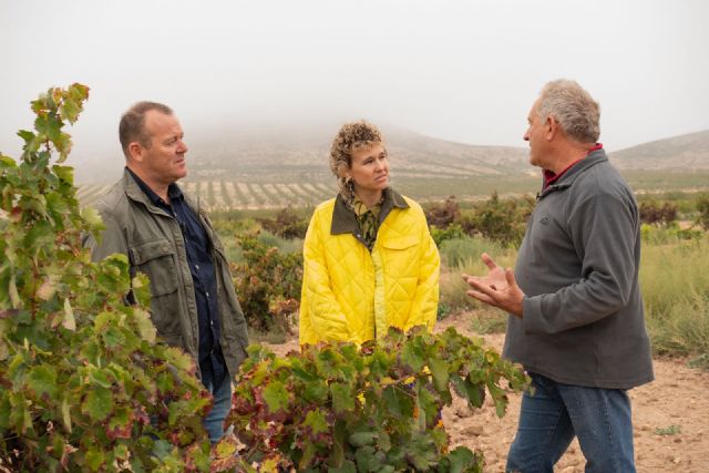 La DOP Jumilla lanza el movimiento, el primer video del segundo capítulo de diálogos de arte y vino - 2, Foto 2