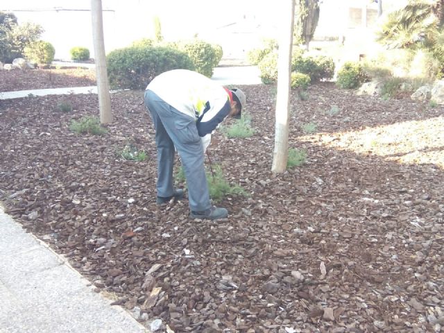 Contratados seis peones jardineros para mantenimiento de zonas verdes - 2, Foto 2