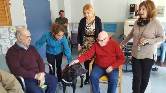 La Comunidad pone en marcha terapia con animales para personas mayores en la residencia Virgen del Valle de Murcia - 1, Foto 1