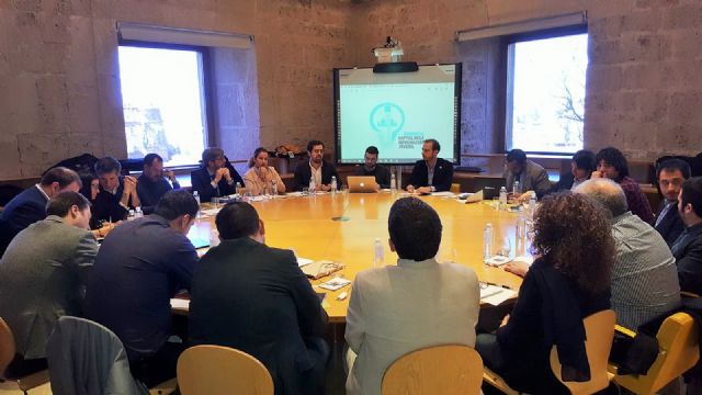 El director general de Juventud asiste a la reunión del Consejo Interterritorial de Juventud - 2, Foto 2