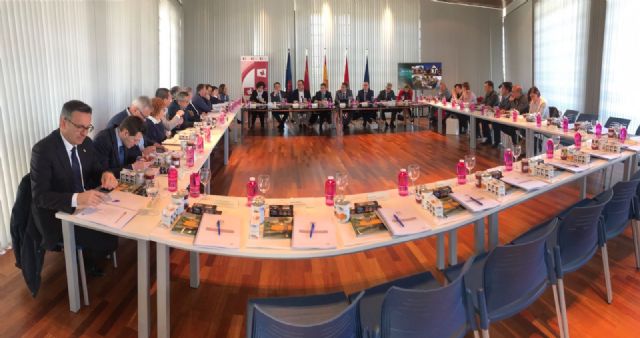 La FMRM mantiene la reivindicación a la CARM de una Ley de Financiación Local justa y solidaria - 1, Foto 1