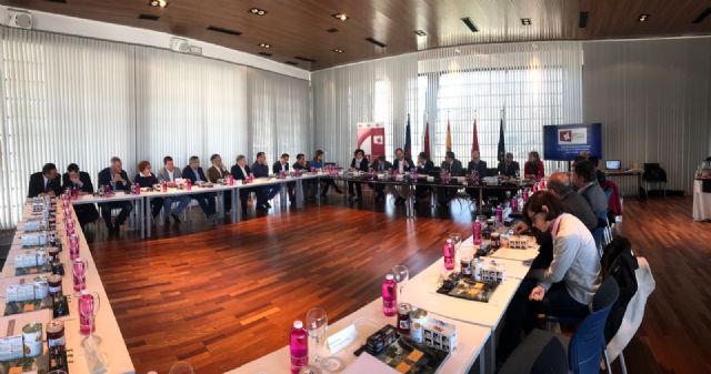 La FMRM mantiene la reivindicación a la CARM de una Ley de Financiación Local justa y solidaria - 2, Foto 2