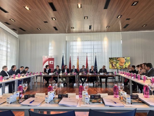 La FMRM mantiene la reivindicación a la CARM de una Ley de Financiación Local justa y solidaria - 3, Foto 3