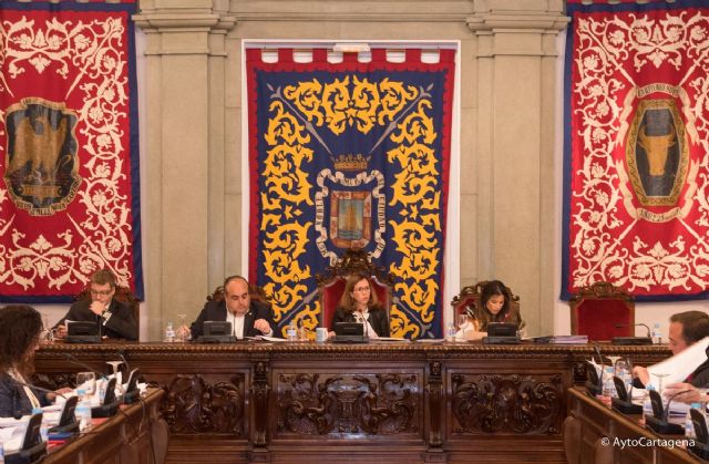 El Pleno municipal muestra su apoyo unanime a las mujeres que padecen la endometriosis - 1, Foto 1