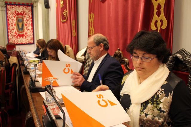 Cs pide explicaciones en el Pleno por el servicio de basuras,  el superávit municipal y las medidas de ahorro de agua - 1, Foto 1