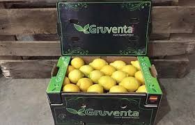 GRUVENTA prevé como “muy dinámica” la campaña de limón Verna - 1, Foto 1