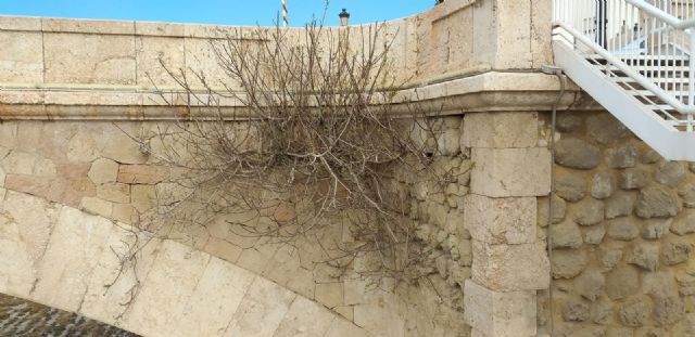 El PSOE reclama la limpieza, iluminación y puesta en valor del Puente del Barrio de cara a Semana Santa - 1, Foto 1
