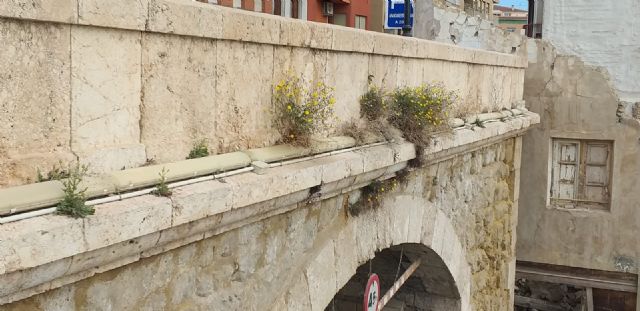 El PSOE reclama la limpieza, iluminación y puesta en valor del Puente del Barrio de cara a Semana Santa - 2, Foto 2