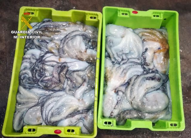 La Guardia Civil sorprende a un pescador furtivo en la reserva marina de Islas Hormigas - 1, Foto 1