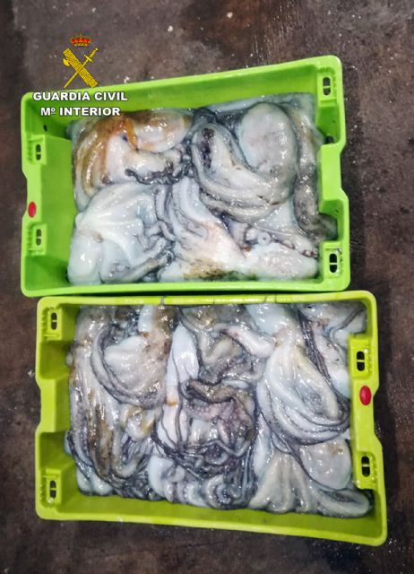 La Guardia Civil sorprende a un pescador furtivo en la reserva marina de Islas Hormigas - 3, Foto 3