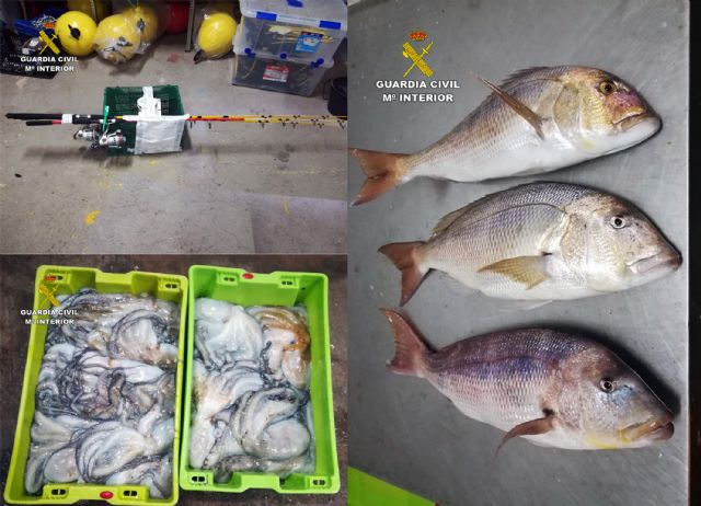 La Guardia Civil sorprende a un pescador furtivo en la reserva marina de Islas Hormigas - 5, Foto 5