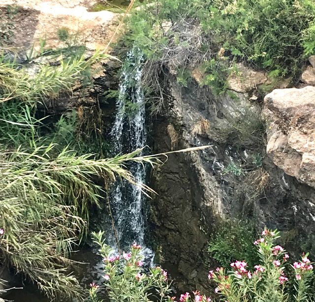 El concejal de Educación Medioambiental hace un llamamiento a optimizar el uso del agua - 4, Foto 4